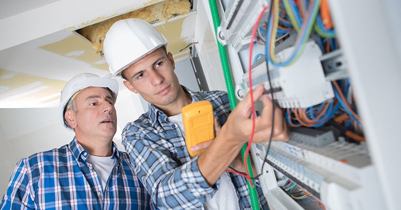 Apprentice-Electrician-in-Training